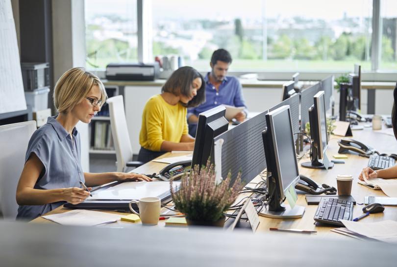 Three office workers are sitting in a row, working at desks with computer monitors.